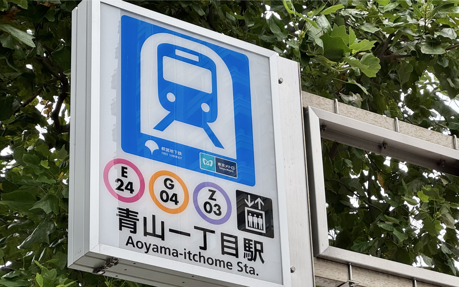 青山エリアの街並み