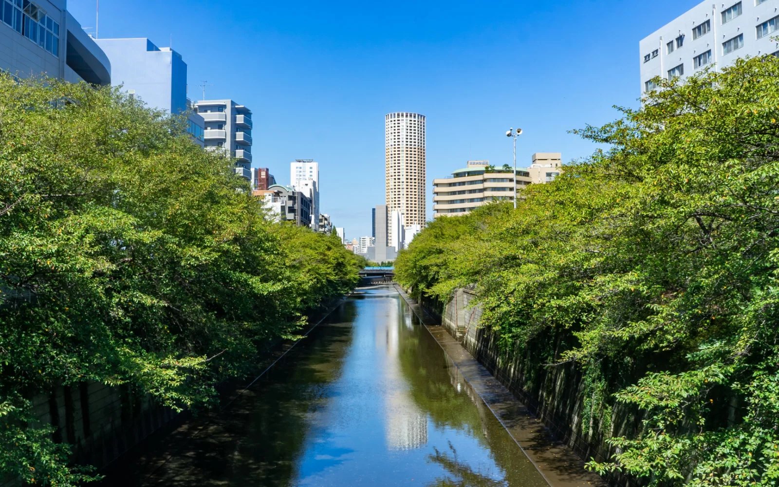 中目黒エリアの街並み