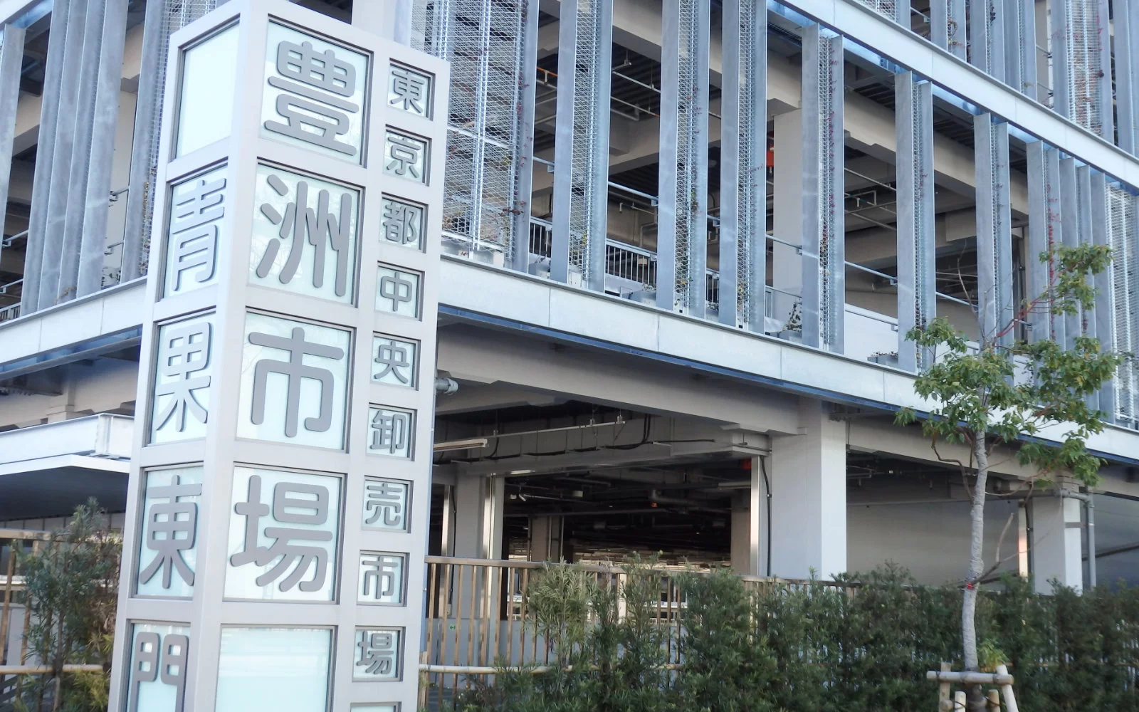 豊洲エリアの街並み